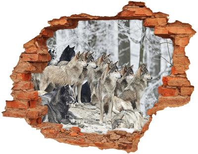 Hole wall sticker Wolves in their natural habitat