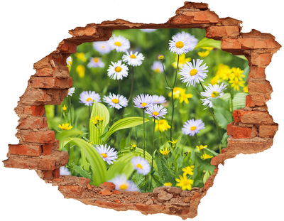 3D wall hole A flower paradise behind the wall