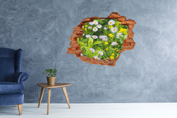 3D wall hole Daisy