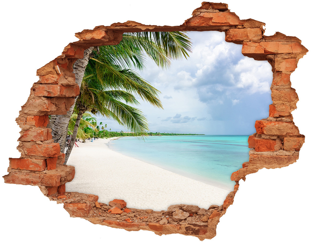 Hole wall sticker Tropical beach