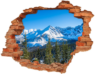 Hole in the wall sticker Winter mountain landscape
