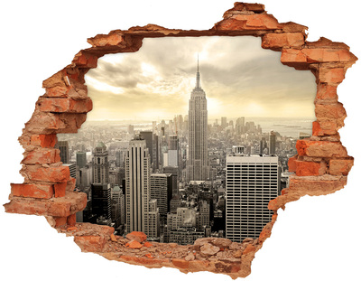 3D wall hole wallpaper Manhattan New York