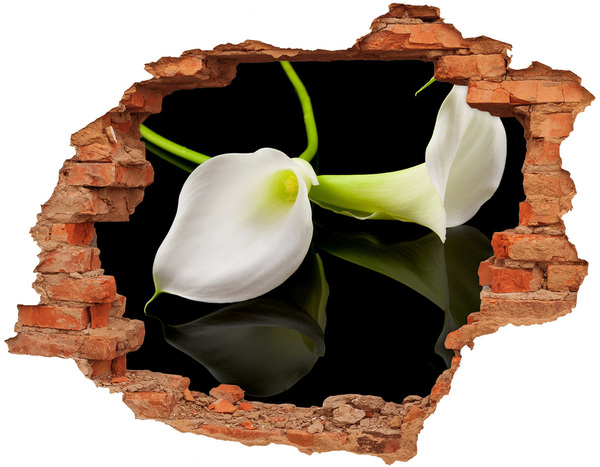 Hole wall sticker Flower in concrete