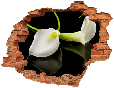 Hole wall sticker Flower in concrete
