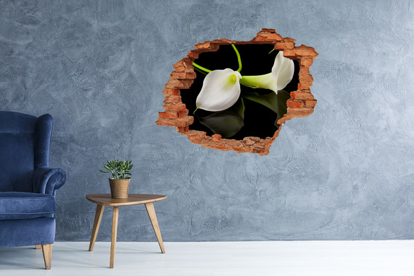 Hole wall sticker Flower in concrete
