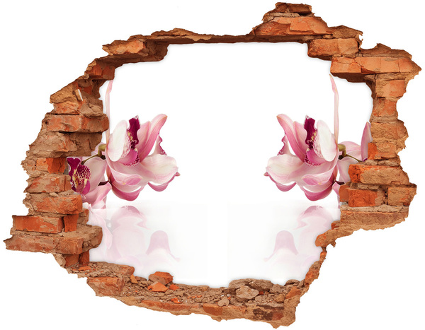 Hole in the wall sticker Orchid