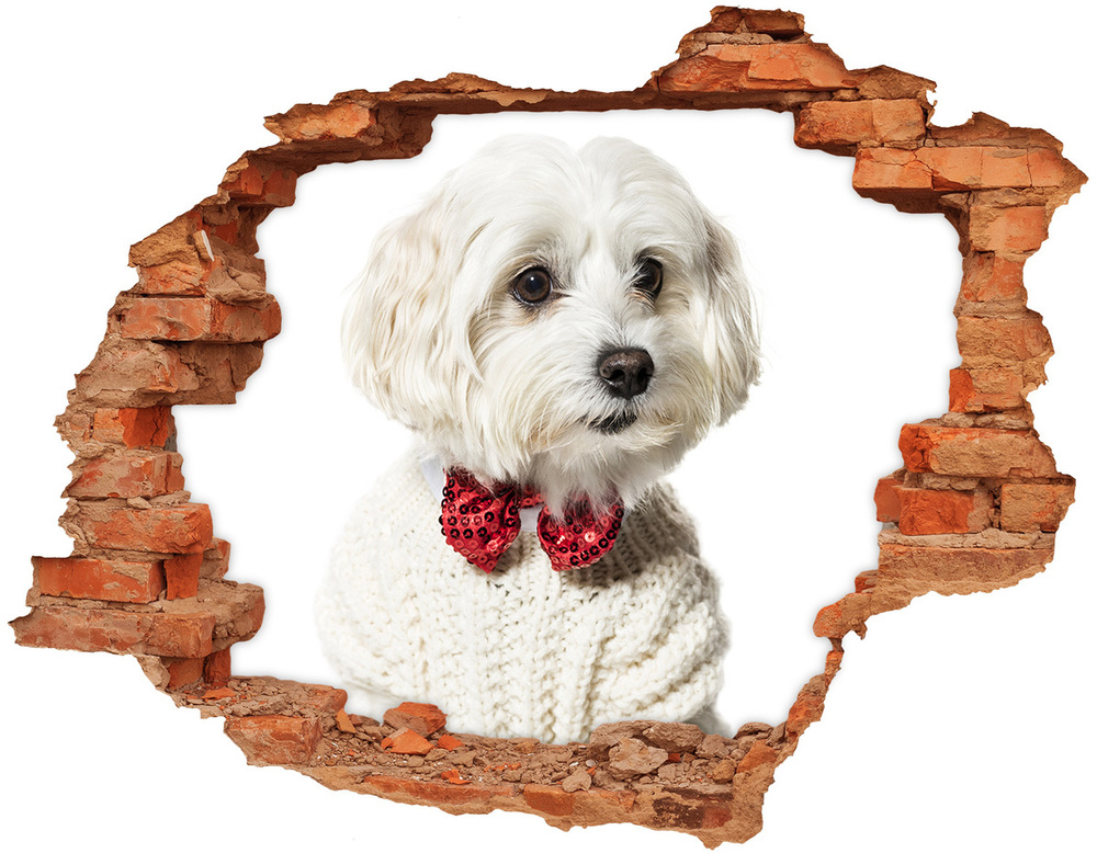 Hole in the wall sticker Maltese in a bow tie