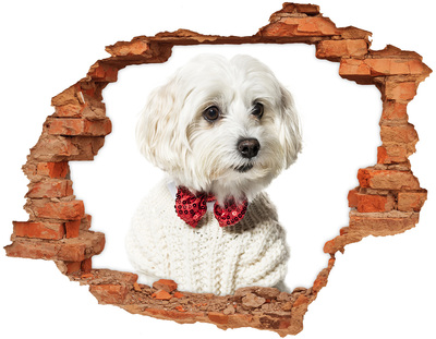 Hole in the wall sticker Dog in a sweater through a hole in the wall