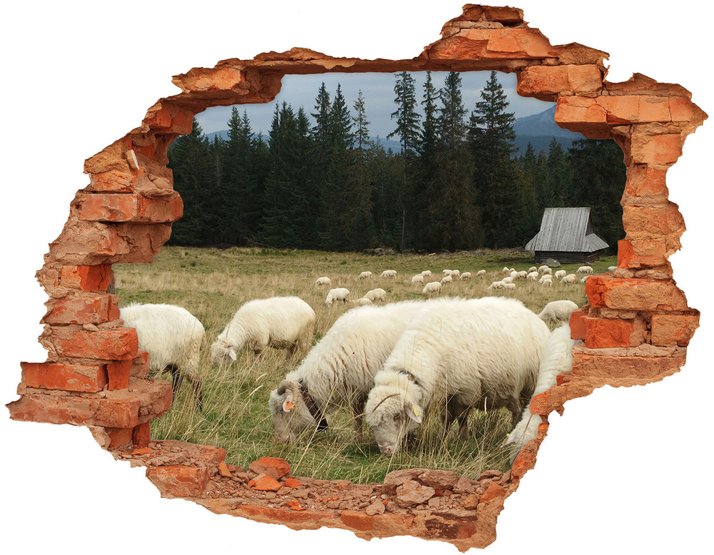 Hole in the wall sticker Grazing sheep