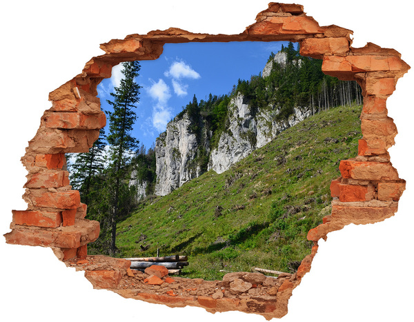 Hole in the wall decal Mountain landscape through a hole in the wall