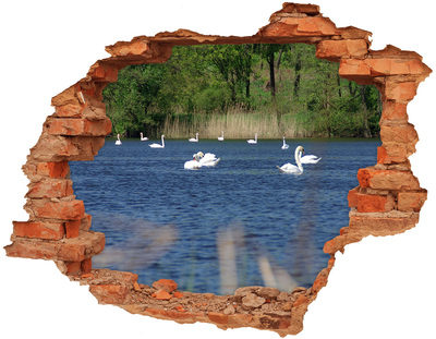 Hole in the wall decal Lake with swans