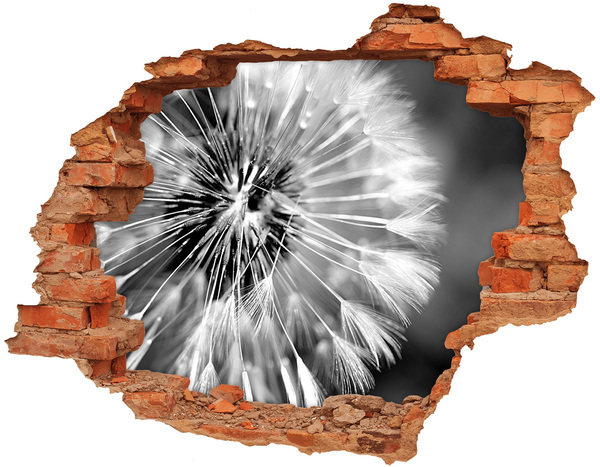 Hole wall sticker Dandelions in black and white