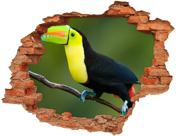 Hole in the wall decal Toucan in a tropical forest