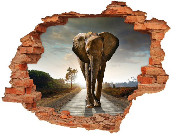Hole wall sticker Elephant on the road in the jungle