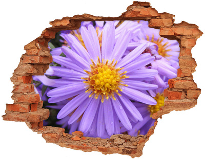 Hole wall sticker Flower in concrete