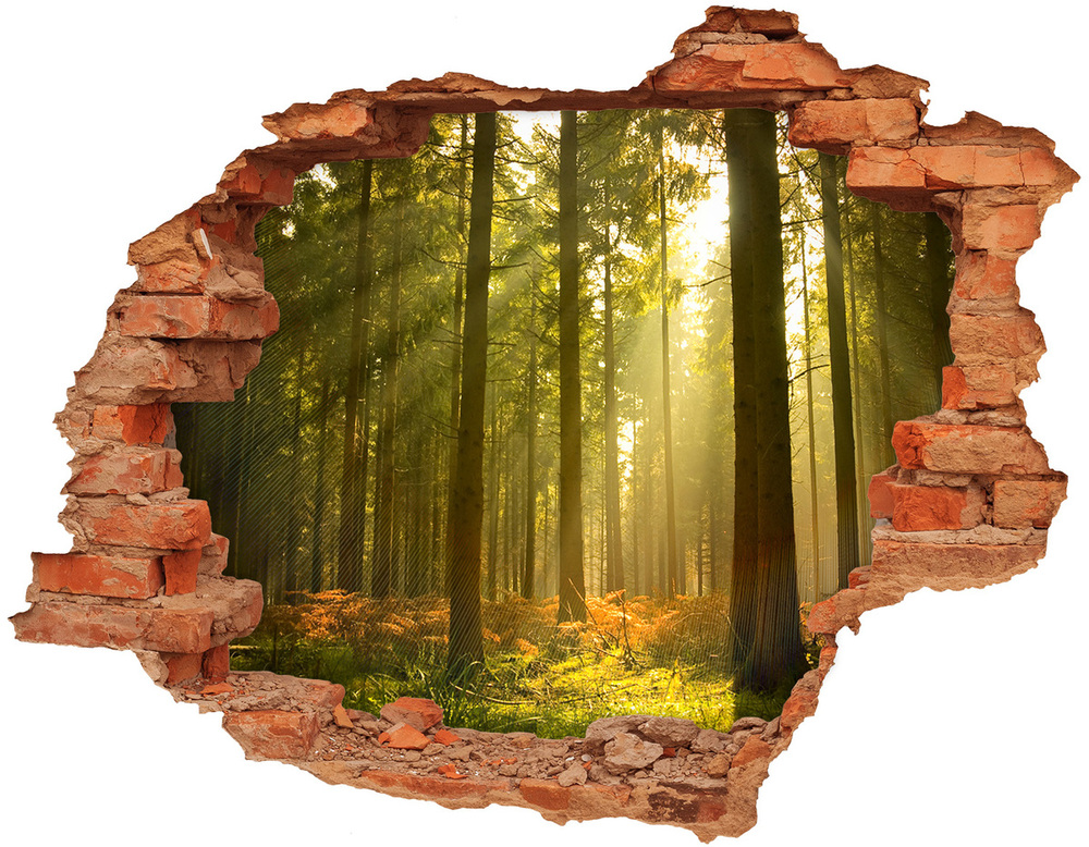 Hole wall sticker Forest in the sun