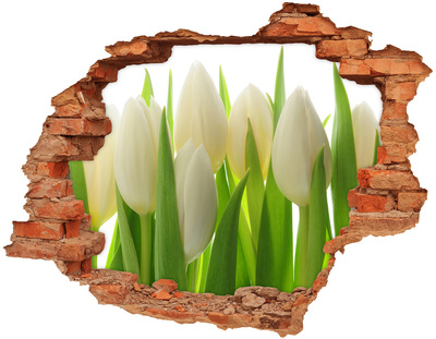Hole wall sticker Tulips in the daylight