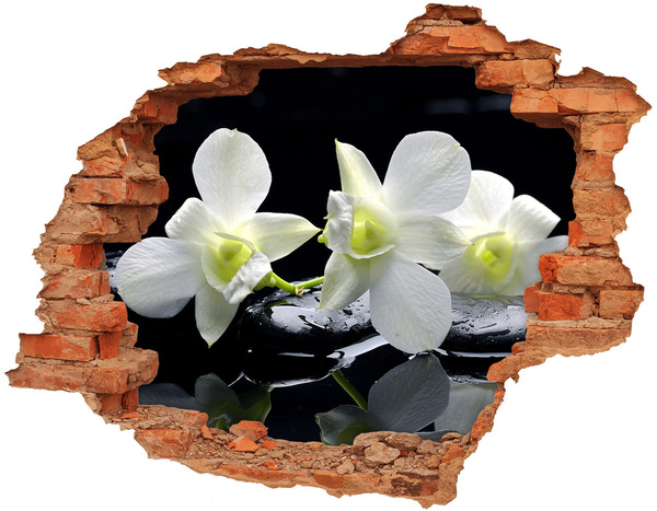 3D wall hole wallpaper Flowers and stones in a zen style