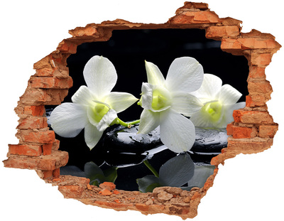 3D wall hole wallpaper Flowers and stones in a zen style