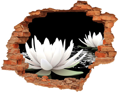 Hole in the wall decal Water flowers in a mysterious pond