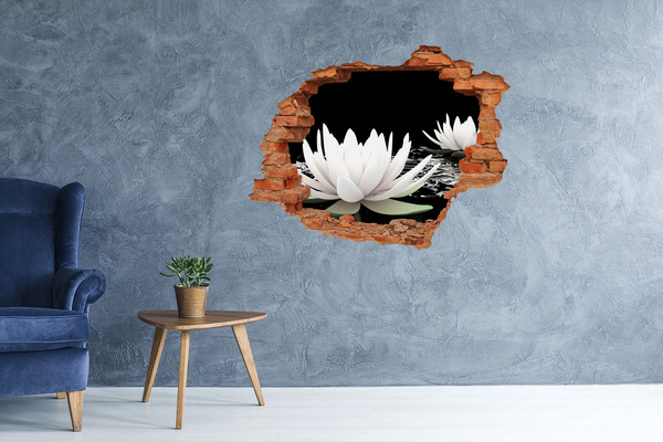 Hole in the wall decal Water flowers in a mysterious pond