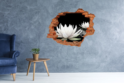 Hole in the wall decal Water flowers in a mysterious pond