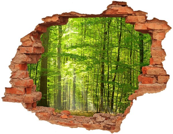 Hole in the wall sticker Green forest in the sunlight