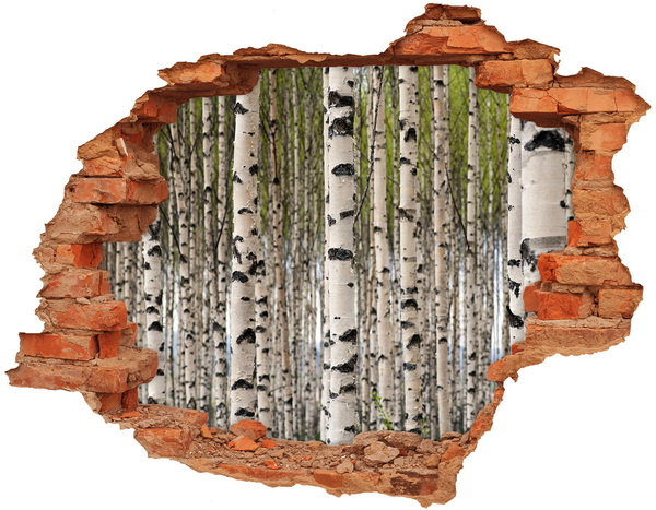 Hole in the wall decal Birch forest behind the wall
