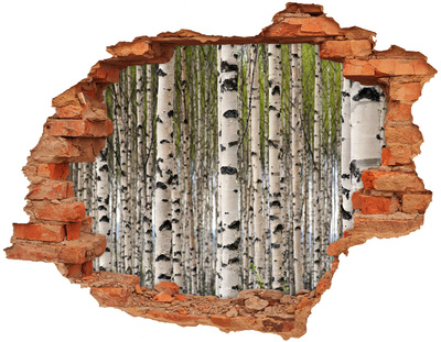 Hole in the wall decal Birch forest behind the wall