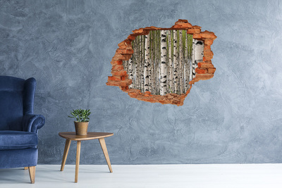 Hole in the wall decal Birch forest behind the wall