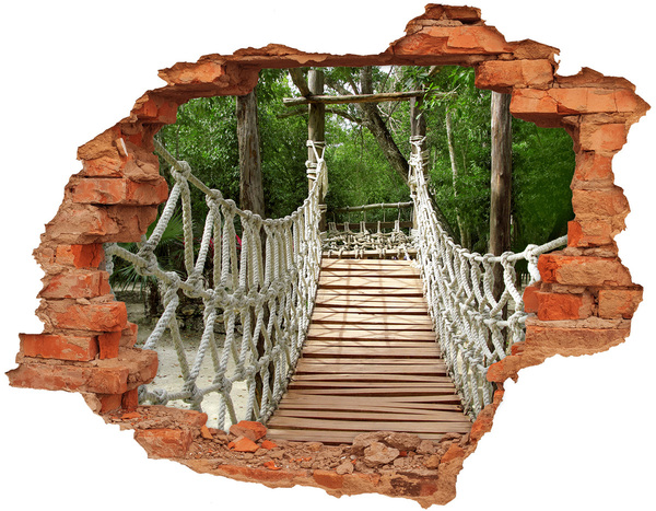 Hole in the wall decal Rope bridge