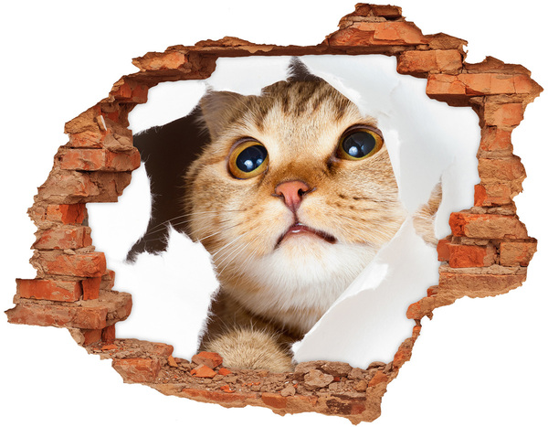 3D wall hole wallpaper Cat through a hole in the wall