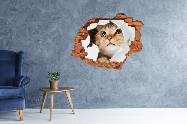 3D wall hole wallpaper Cat through a hole in the wall
