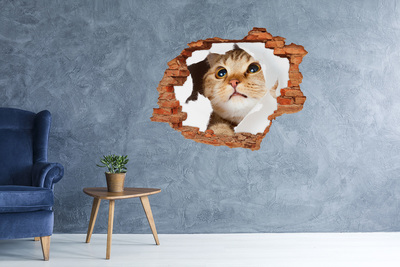 3D wall hole wallpaper Cat through a hole in the wall