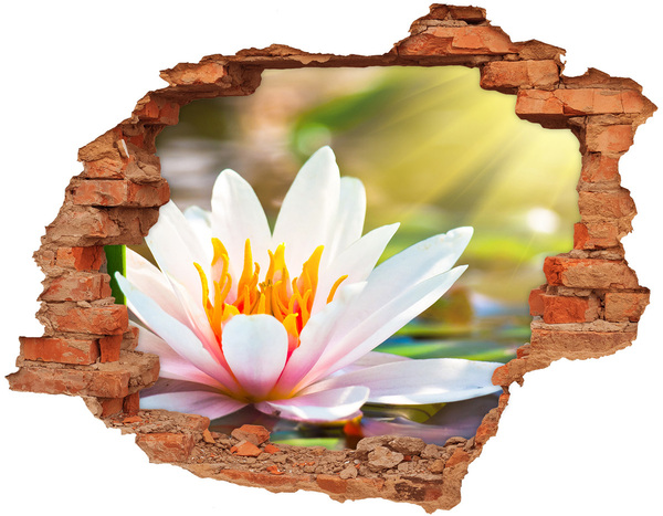 Hole in the wall sticker Water flower in a ruined wall