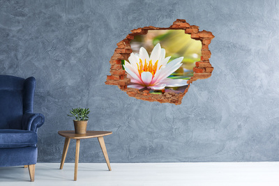 Hole in the wall sticker water lily