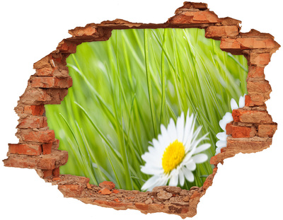 Hole in the wall sticker A flower in a green garden
