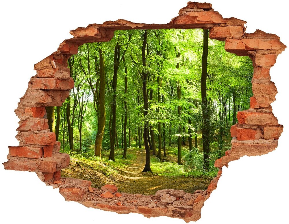 Hole wall sticker Forest track