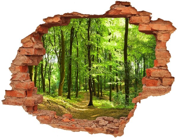 Hole wall sticker Green forest in the sun's rays