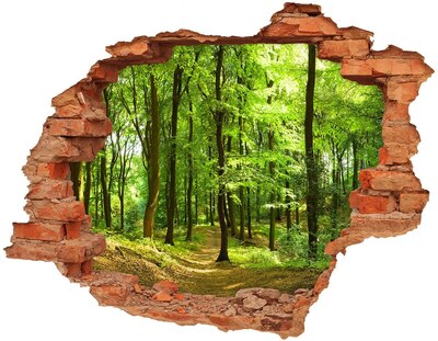 Hole wall sticker Green forest in the sun's rays