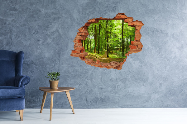 Hole wall sticker Green forest in the sun's rays