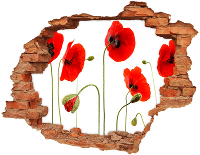 3D wall hole Poppy flowers in a hole in the wall