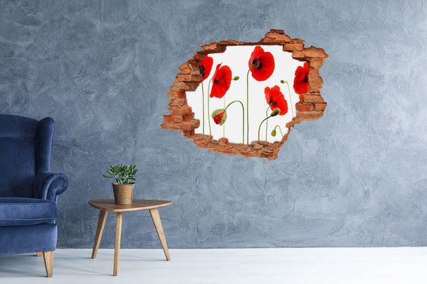 3D wall hole Poppy flowers in a hole in the wall