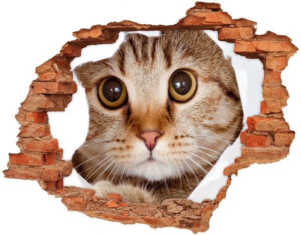 3D wall hole The cat behind the hole in the wall