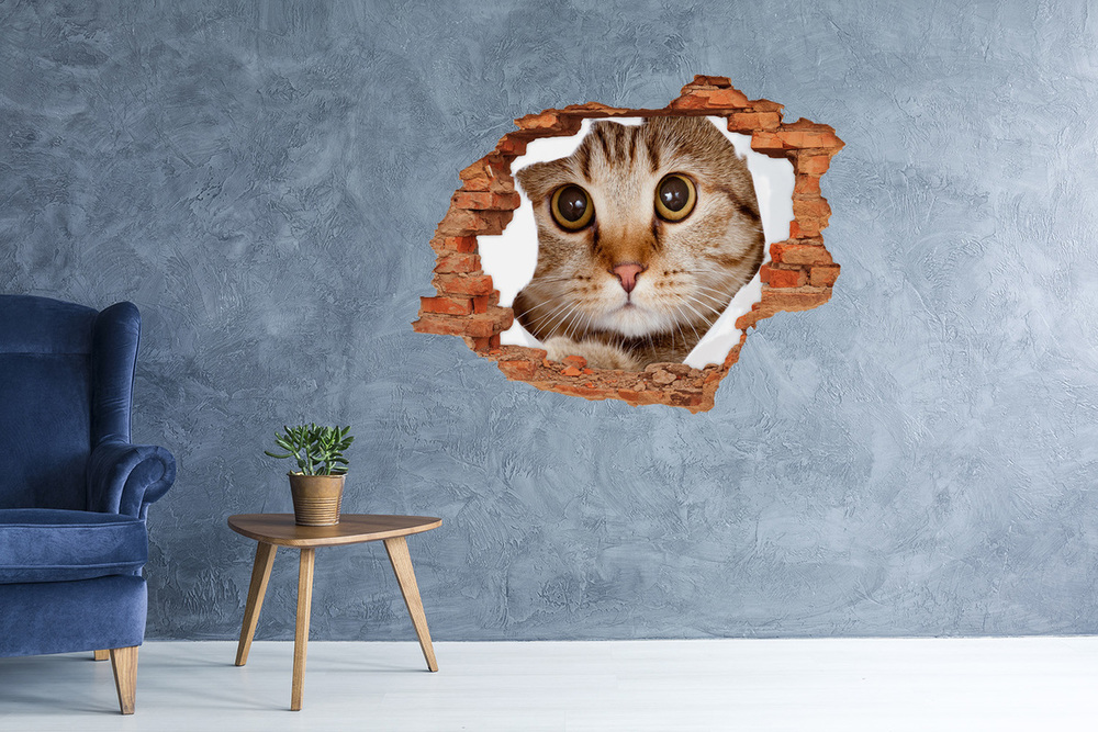 3D wall hole Cat