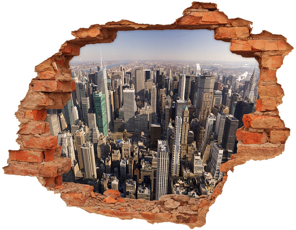 Hole wall sticker View of New York