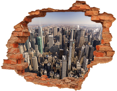 Hole wall sticker View of New York