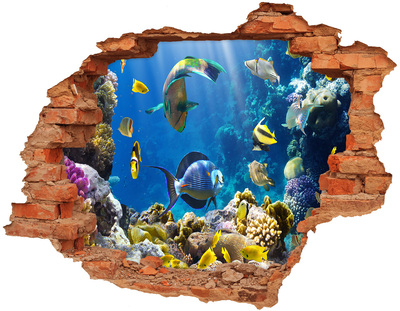 Hole wall sticker The underwater world of the coral reef
