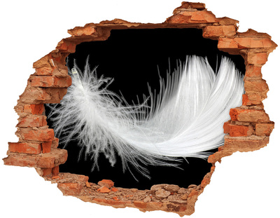 3D wall hole A feather in a hole in the wall