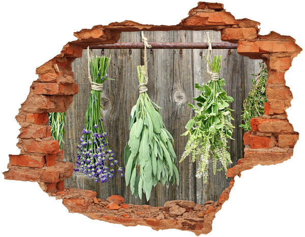 3D wall hole Herbs in a Rustic Kitchen
